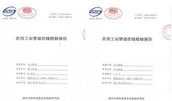 恩斯迈电子——工业管道在线检验